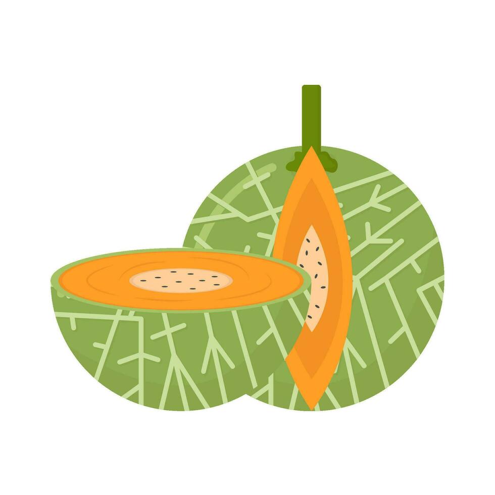 Cantalupo fetta frutta illustrazione vettore