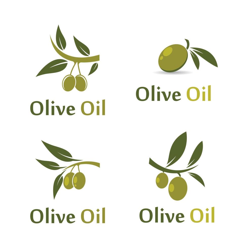 illustrazione di immagini del logo di oliva vettore