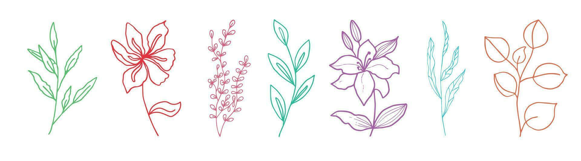 fiori e ramoscelli disegnato di mano. elementi per il design di cartoline. vettore