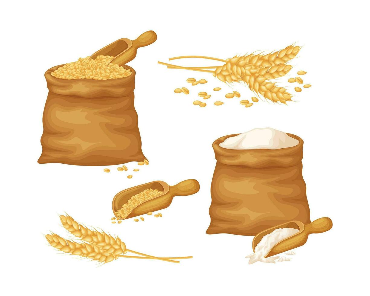 Grano. un' grande impostato con un Immagine di Grano nel un' Borsa, un' Grano orecchio e Grano Farina nel un' Borsa. cereali, vettore illustrazione