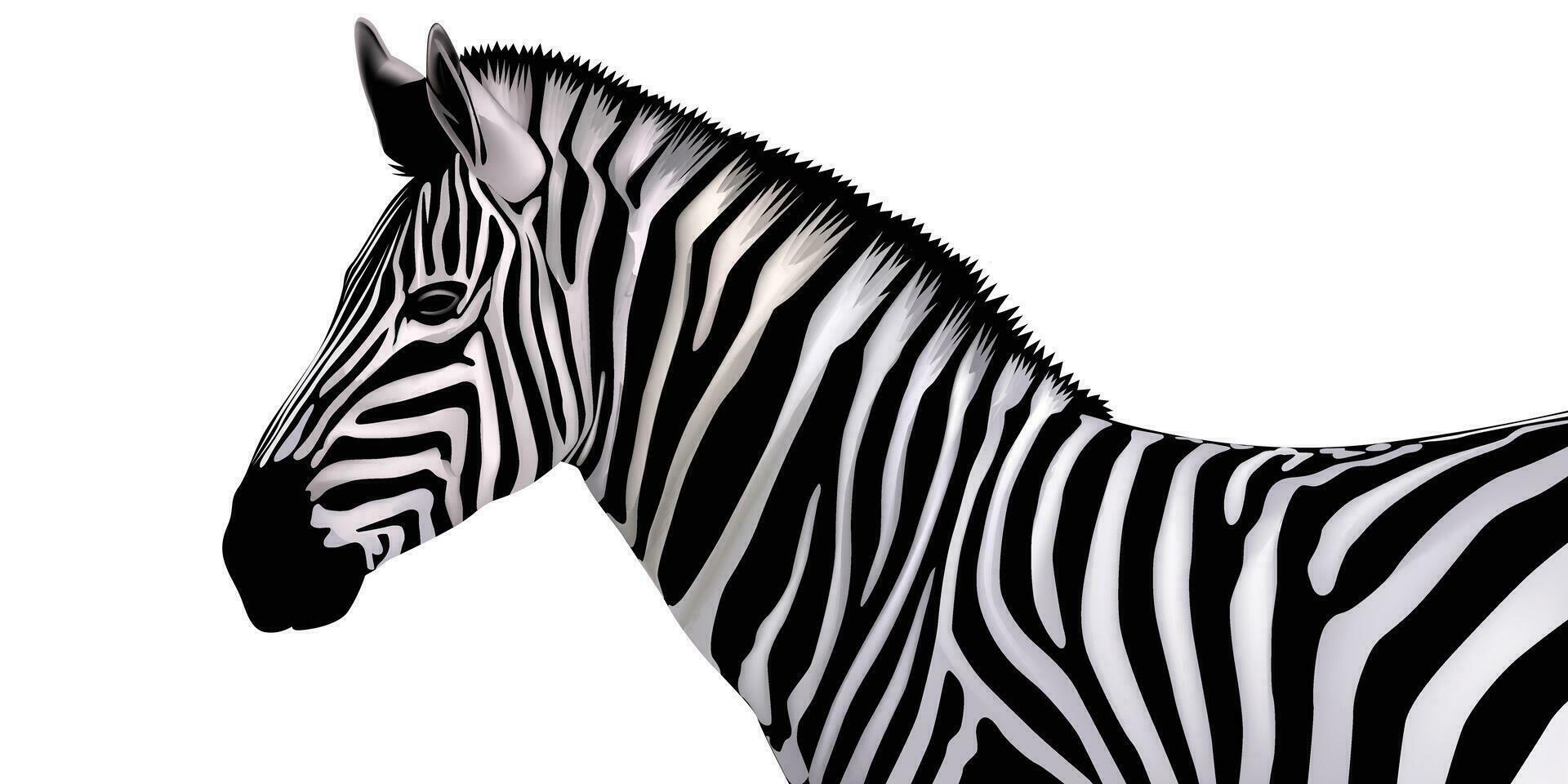 zebra cavallo striscia linea nel nero e bianca vettore illustrazione.