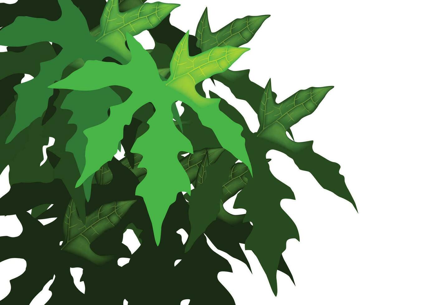 papaia le foglie verde vettore con isolato bianca sfondo.