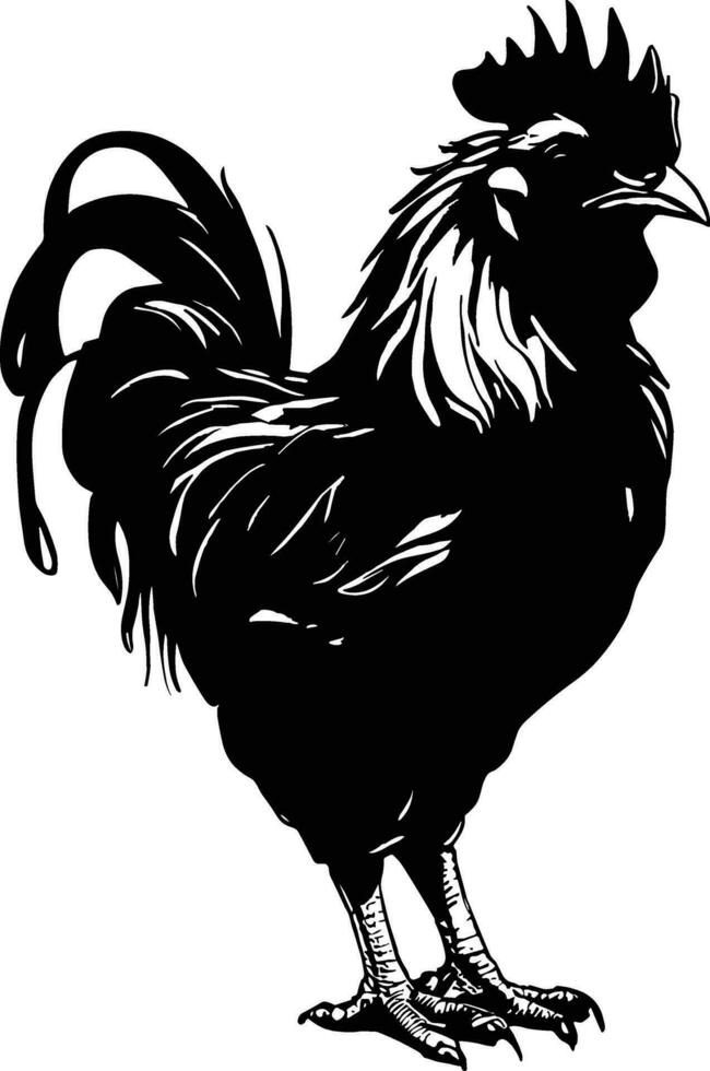 vettore illustrazione. nero silhouette di un' Gallo in piedi su uno gamba. isolato su un' bianca sfondo.