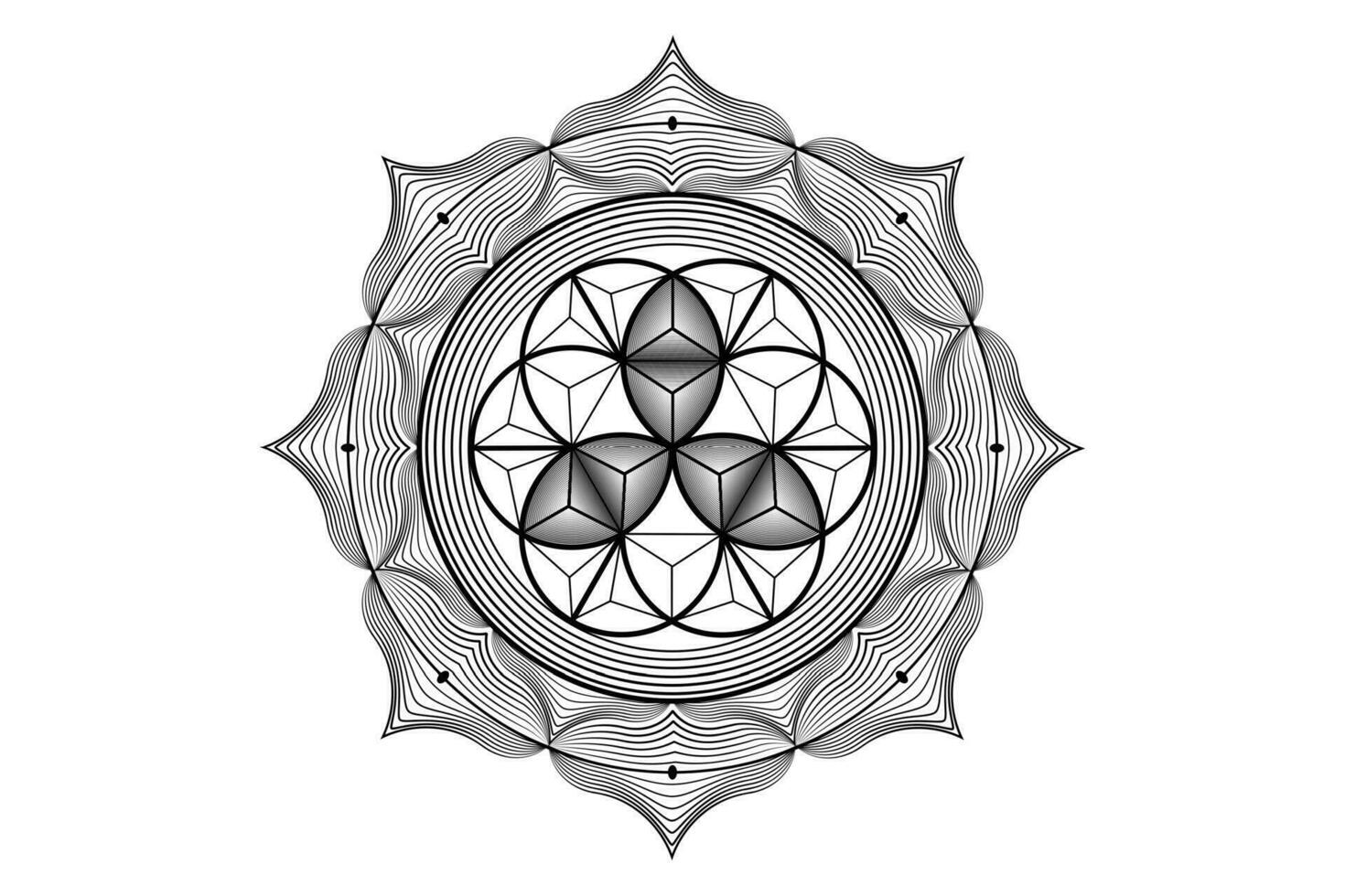 sacro loto yantra mandala, mistico fiore di vita. sacro geometria, vettore logo grafico elemento isolato. mistico icona seme di vita, 3d geometrico disegno, esoterico loto fiore su bianca sfondo