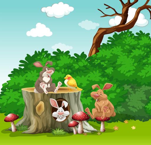Conigli e uccelli nel giardino vettore