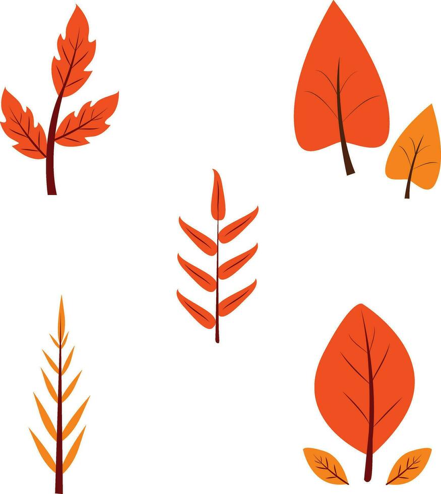 impostato di autunno le foglie. isolato su bianca sfondo. icone impostato vettore