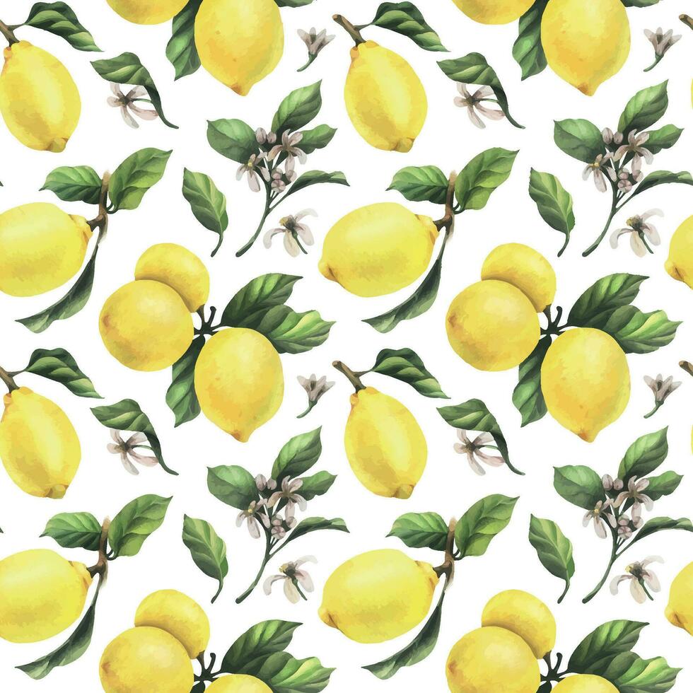 limoni siamo giallo, succoso, maturo con verde foglie, fiore mini cuffie su il rami, totale e fette. acquerello, mano disegnato botanico illustrazione. senza soluzione di continuità modello vettore