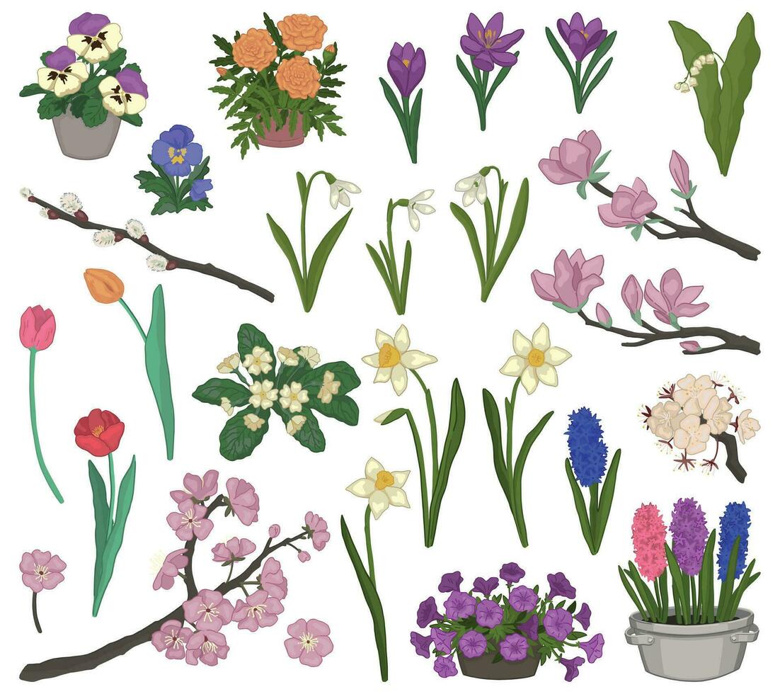 primavera botanico scarabocchio collezione. clipart impostato di fioritura alberi rami, primavera tempo fiori. vettore illustrazioni isolato su bianca.