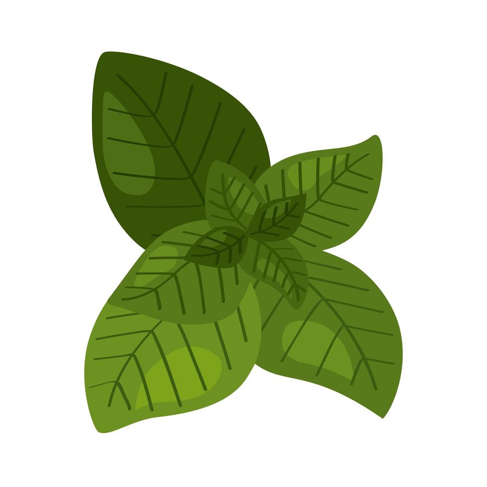 foglie ecologia pianta vettore