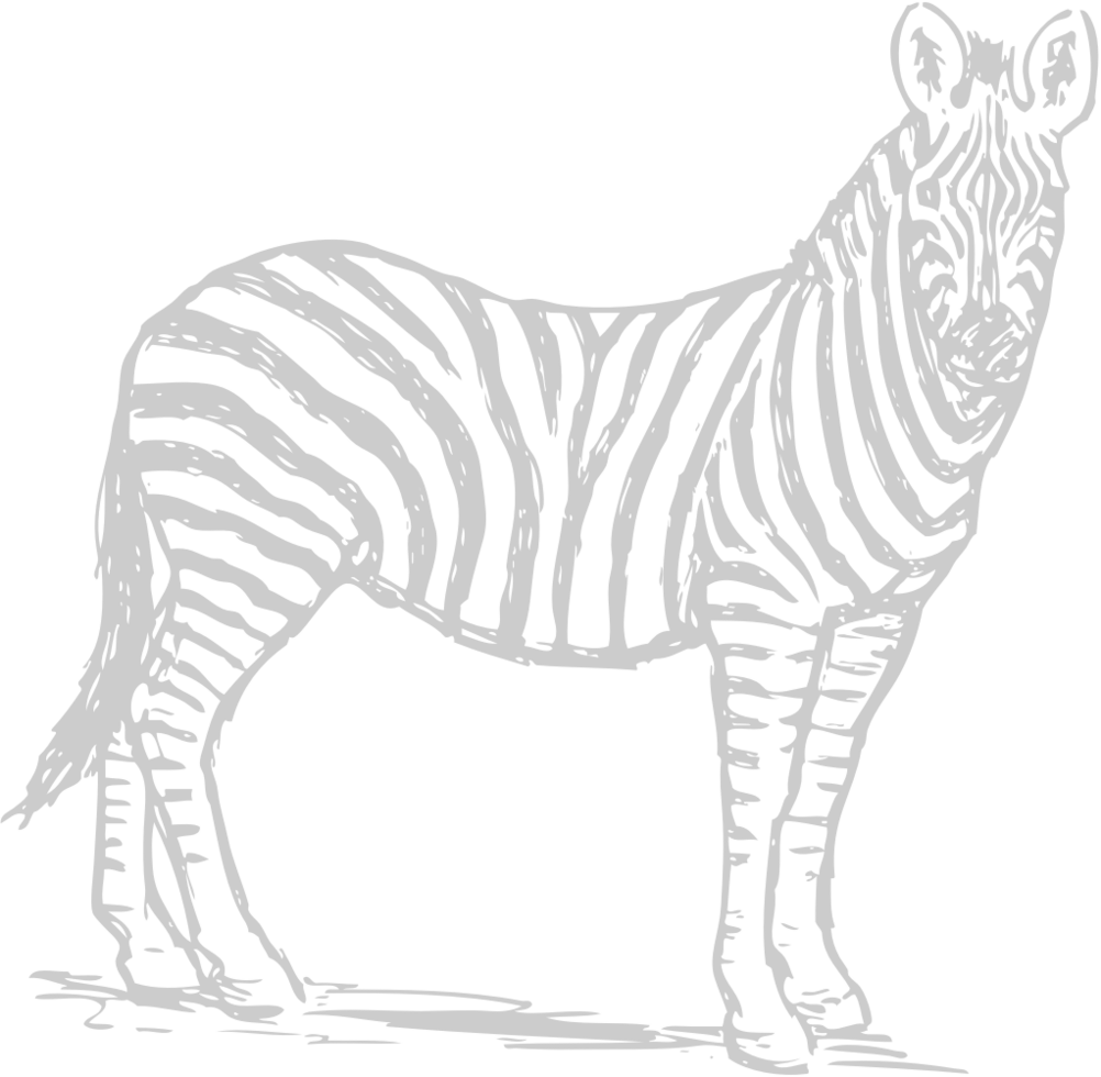 animale cause zebra vettore