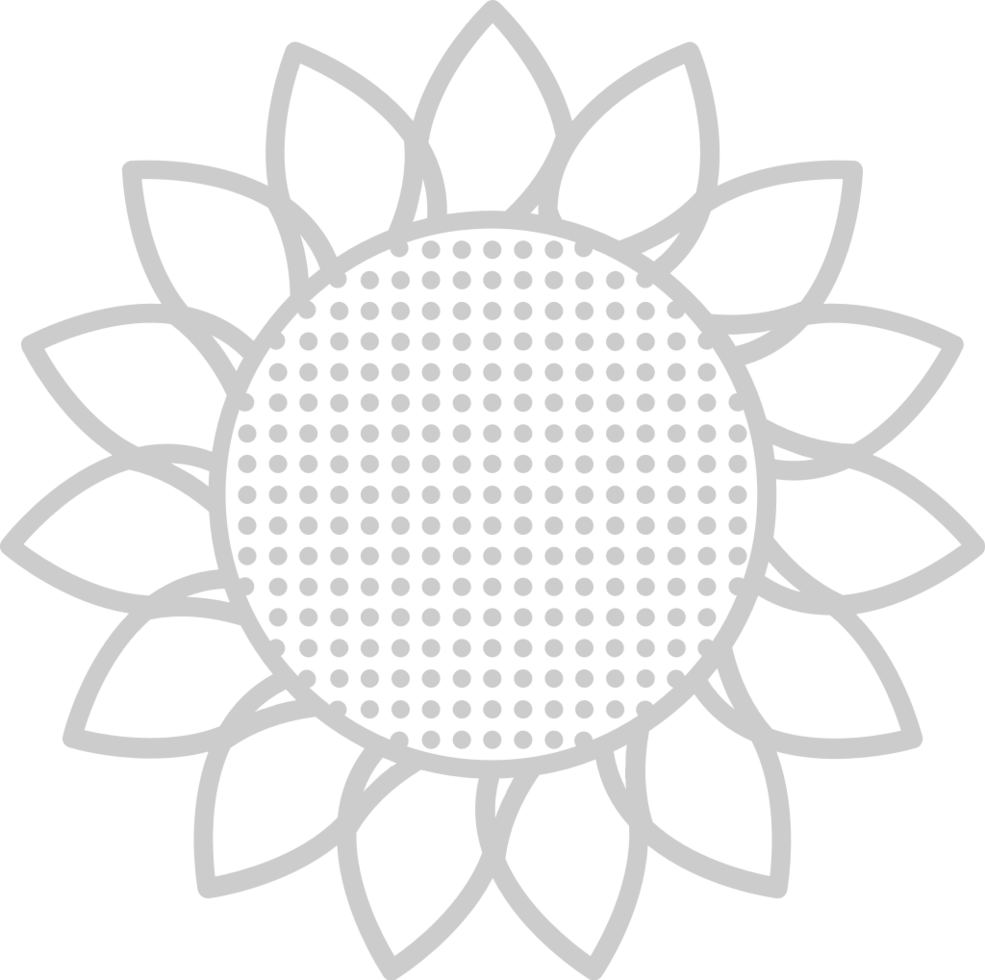 girasole vettore