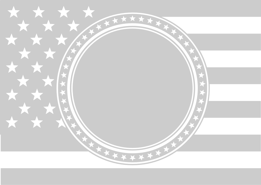 bandiera americana vettore