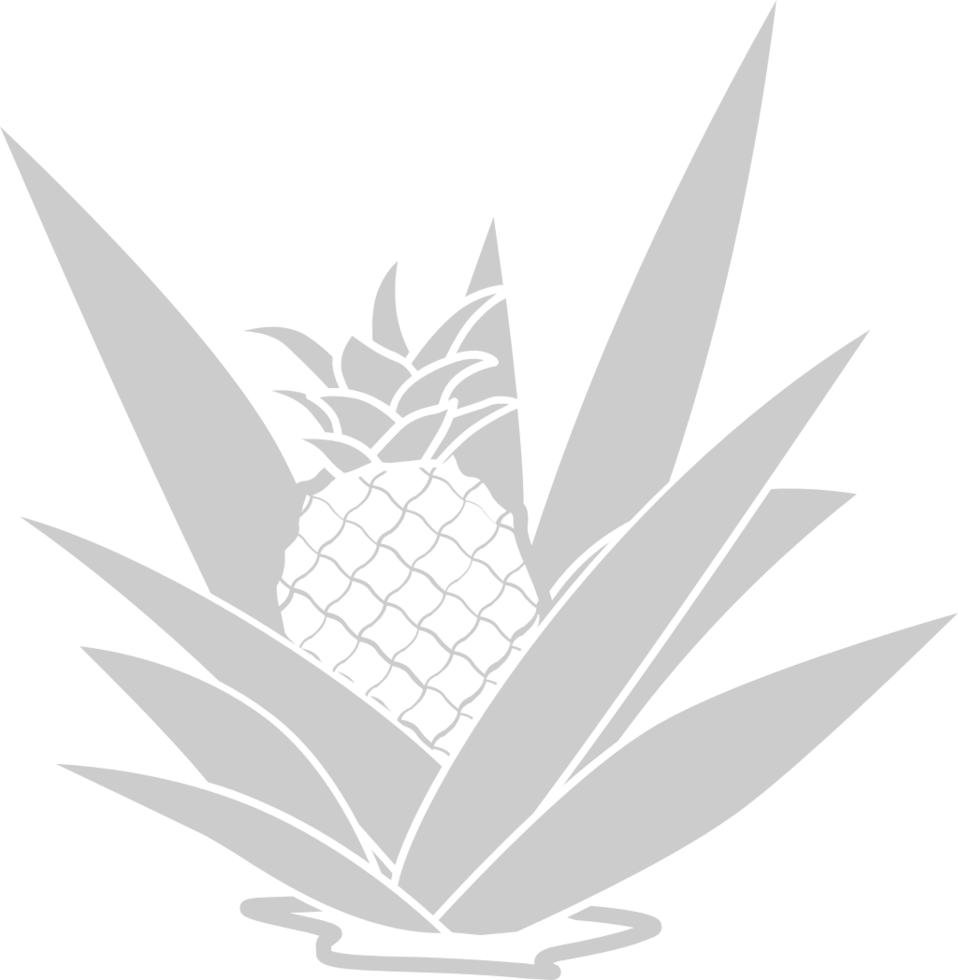 ananas vettore