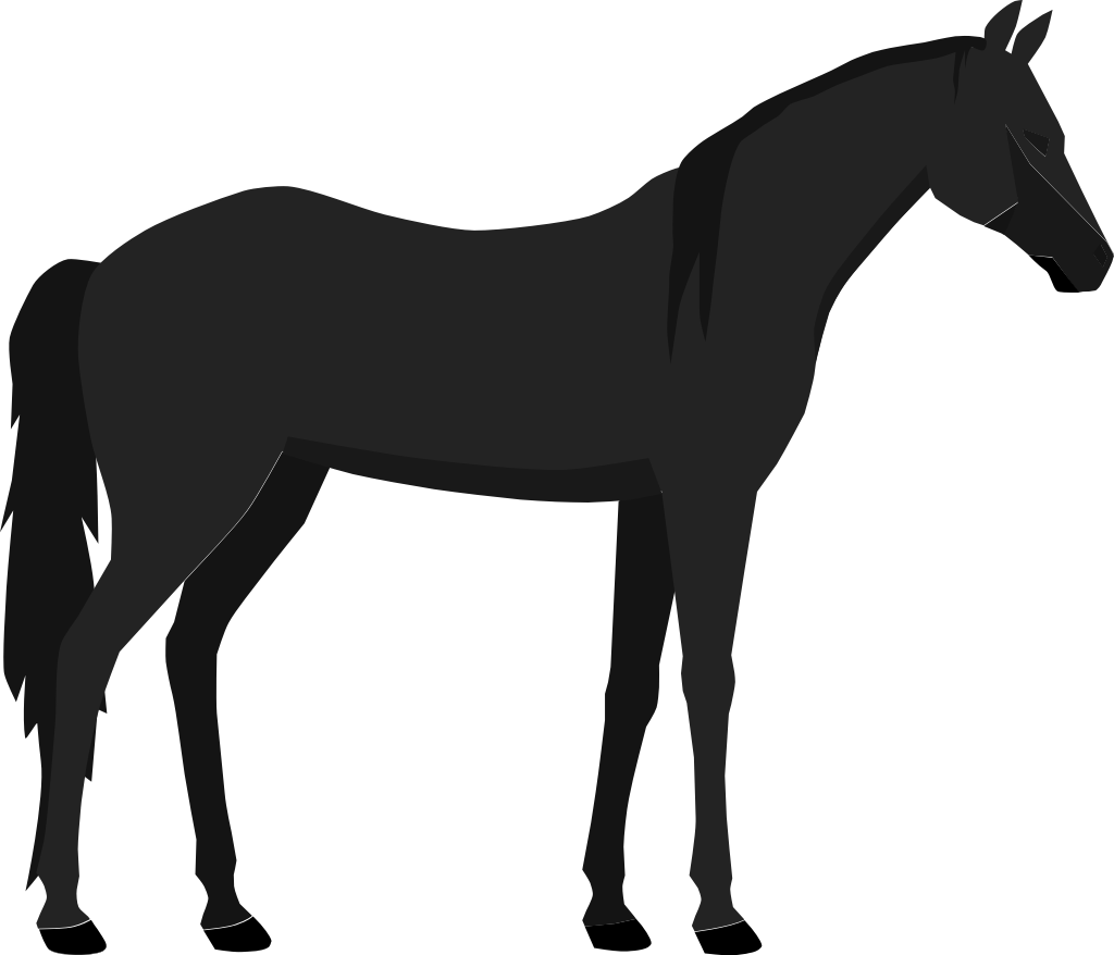 cavallo vettore