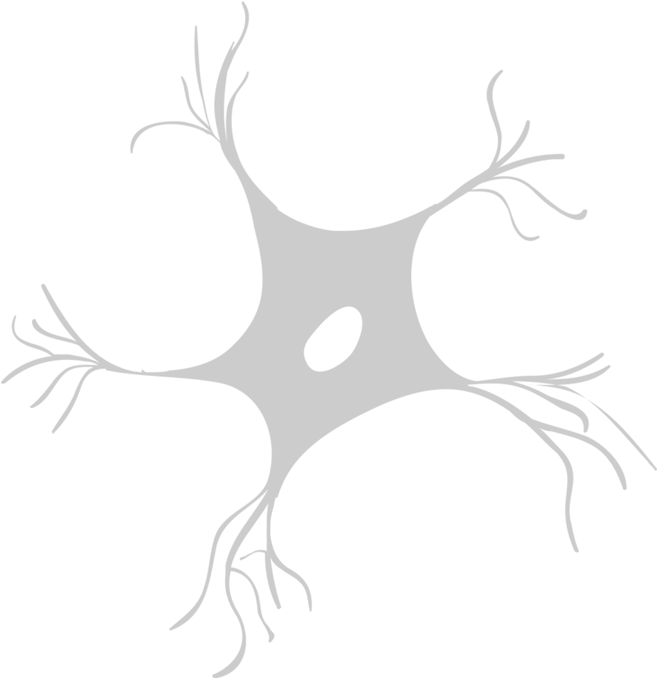 biologia dei neuroni vettore