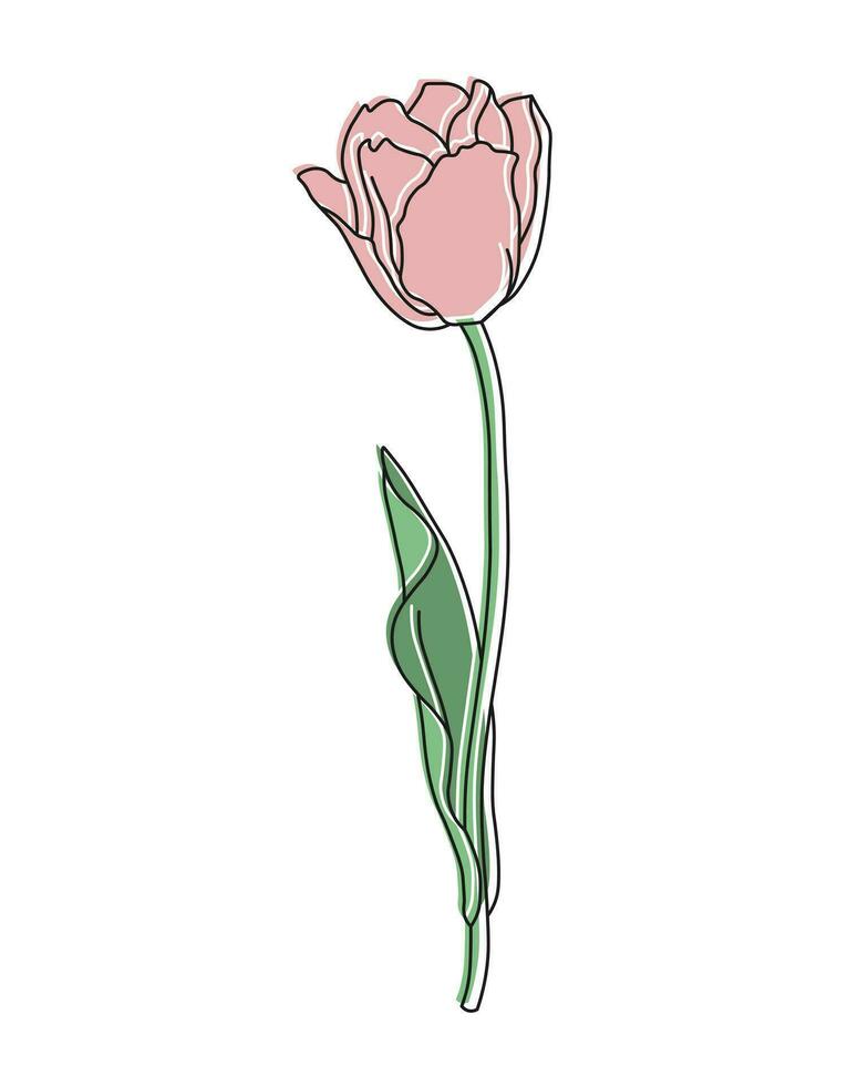schema tulipano fiore con pastello colore macchie aggiunto, linea arte. floreale manifesto, cartolina, vettore