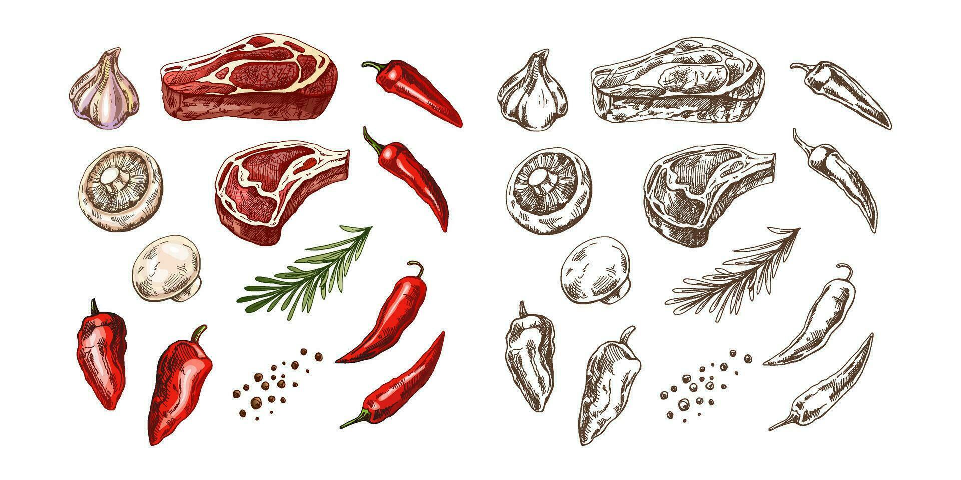 un' impostato di disegnato a mano colorato e monocromatico schizzi di barbecue elementi. per design di il menù, grigliato cibo. pezzi di carne e verdure con condimenti. vettore