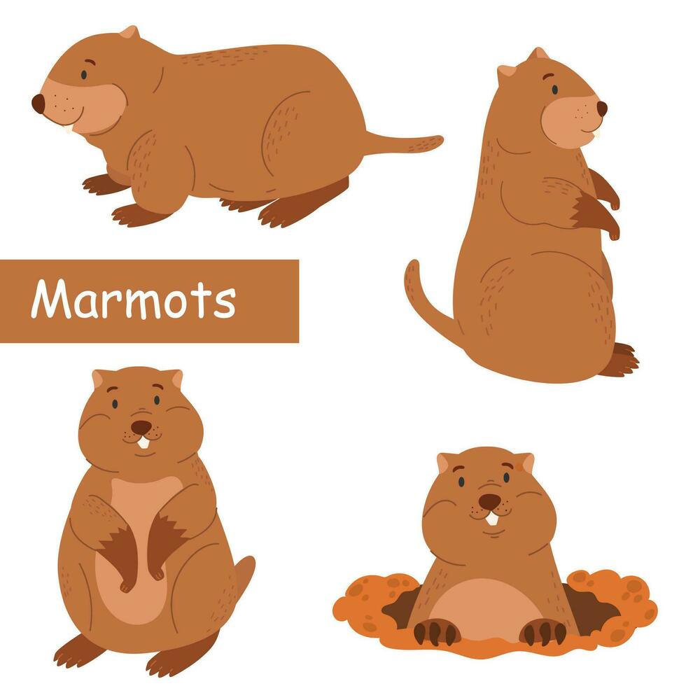 carino marmotta. roditori. impostato di personaggi. vettore illustrazione di un' marmotta. per il tuo design.