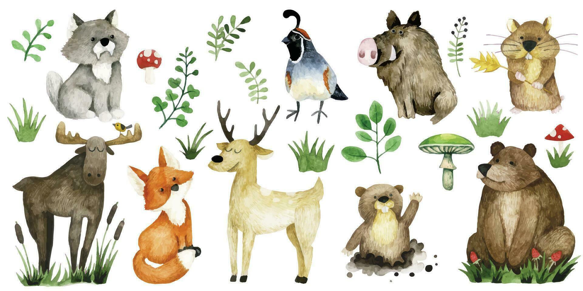 impostato di carino foresta animali, acquerello disegno. orso, alce, cervo, lupo e Volpe vettore