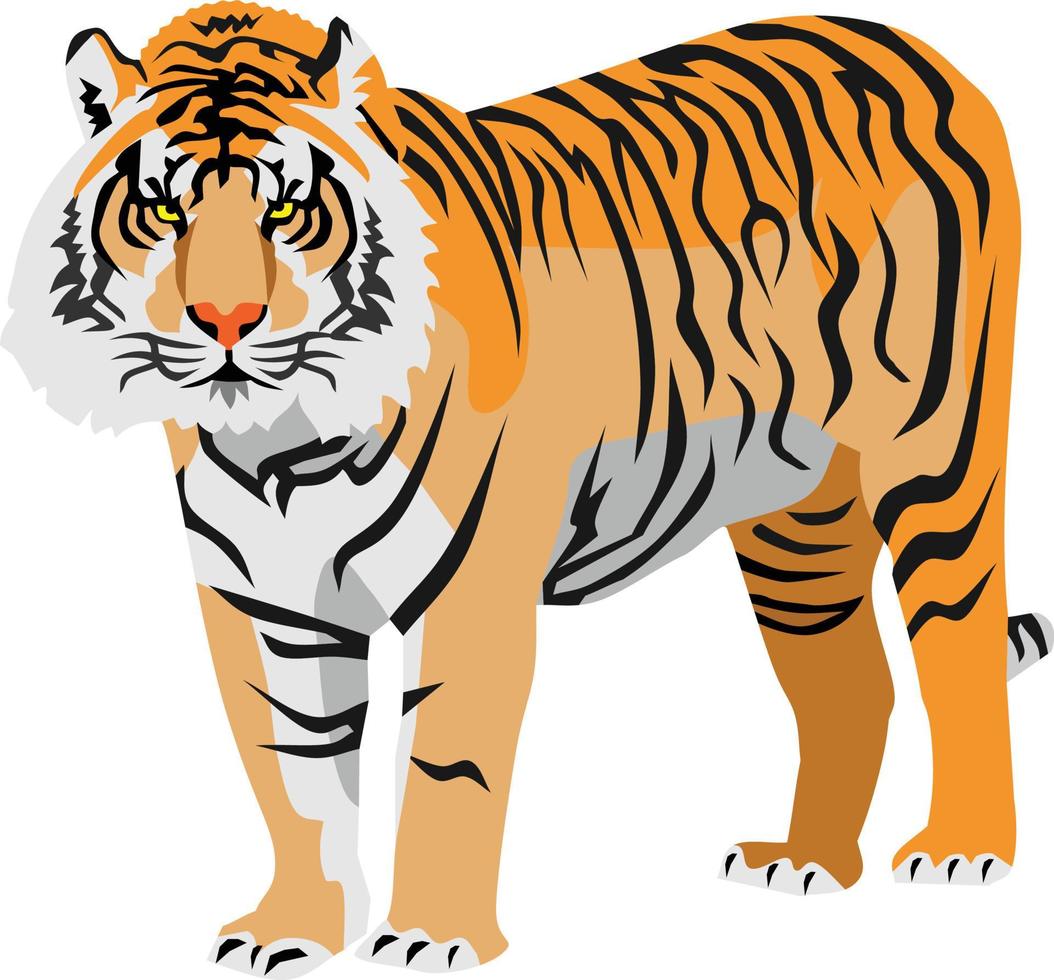tigre mammifero animale vettore