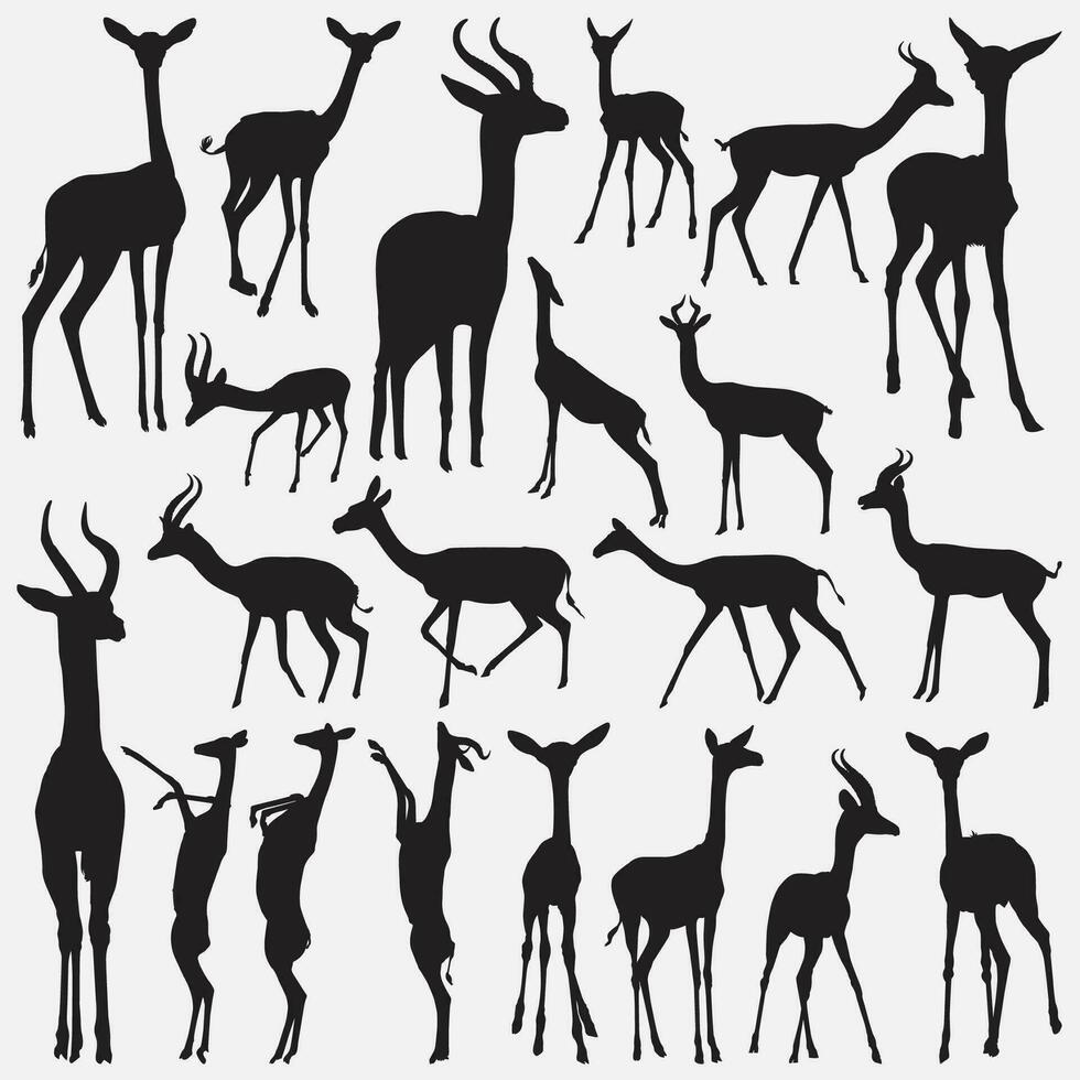 Gerenuk animale silhouette impostato vettore