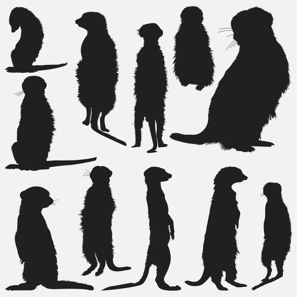 meerkat animale silhouette impostato vettore