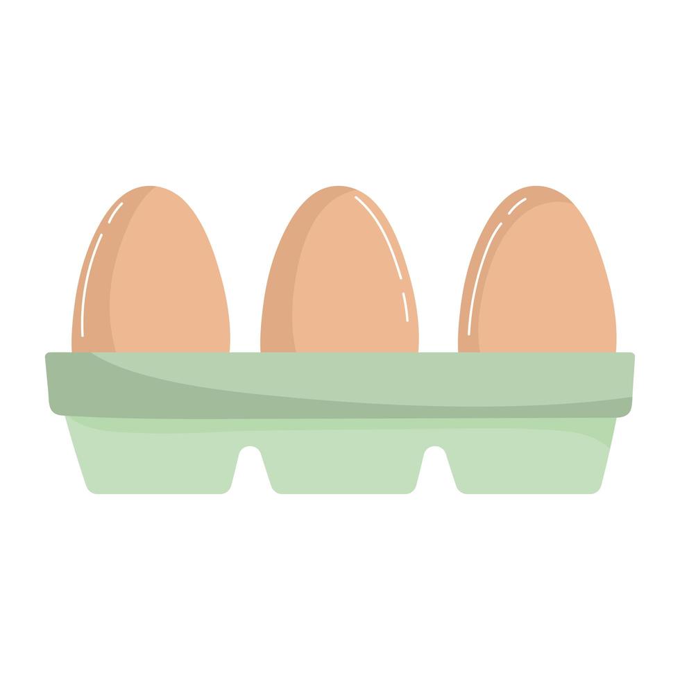 uova in confezione in cottura vettore