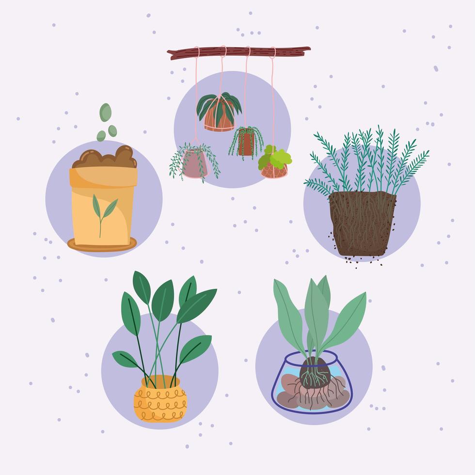 piante d'appartamento e set di fertilizzanti vettore