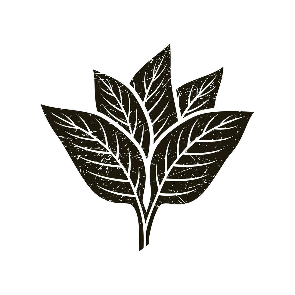 foglia icona. le foglie icona su isolato sfondo. collezione verde foglia. elementi design per naturale, eco, vegano, bio etichette. vettore