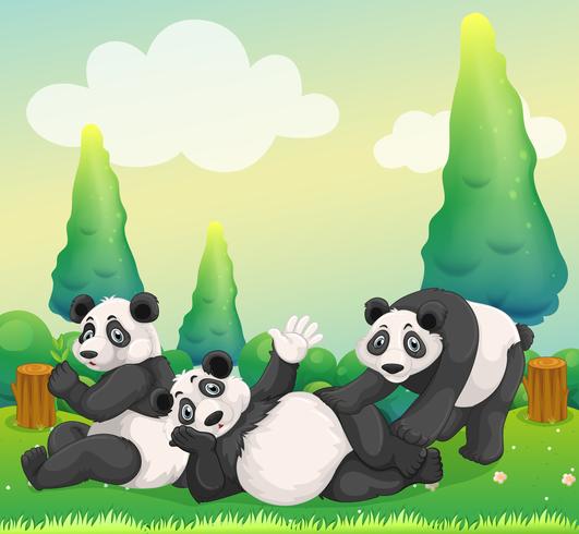 Tre panda che giocano nel parco vettore