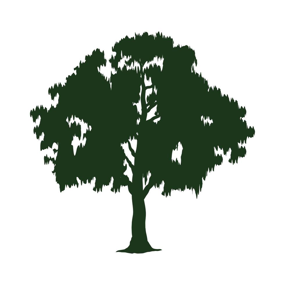 albero verde frondoso pianta silhouette foresta vettore