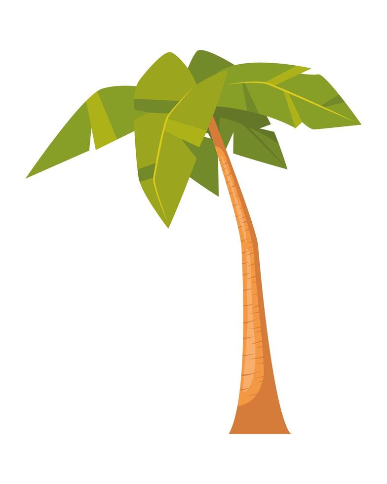 albero di palma tropicale vettore