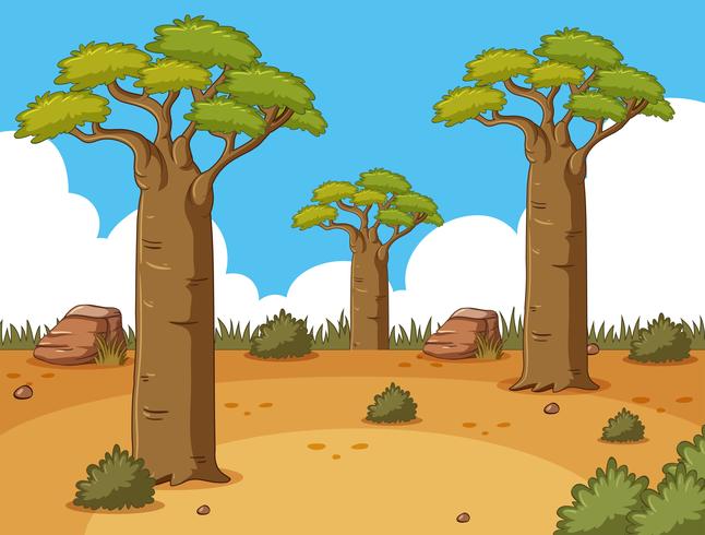 Scena con alberi ad alto fusto nel deserto vettore