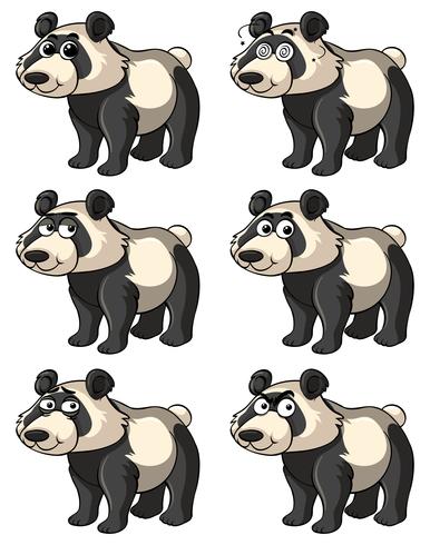 Panda con diverse espressioni facciali vettore