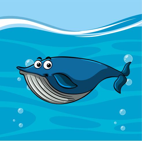 Balena nuota nell&#39;oceano vettore