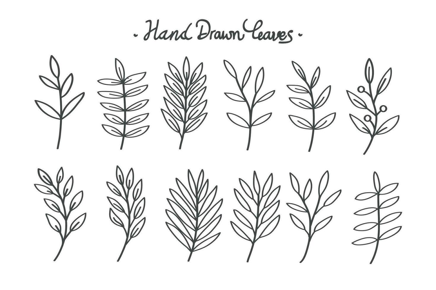 disegnato a mano botanico le foglie linea collezione. vettore illustrazione.