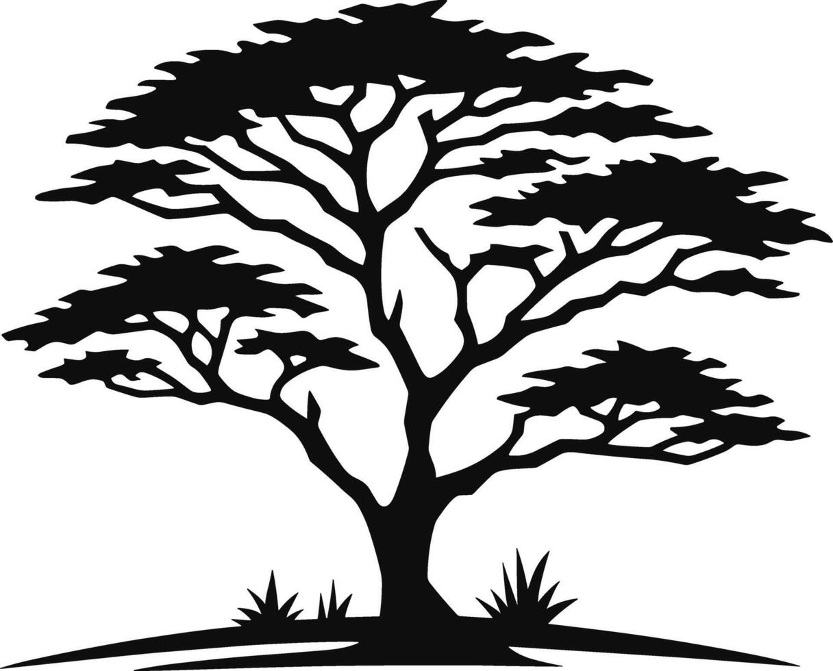acacia albero silhouette vettore