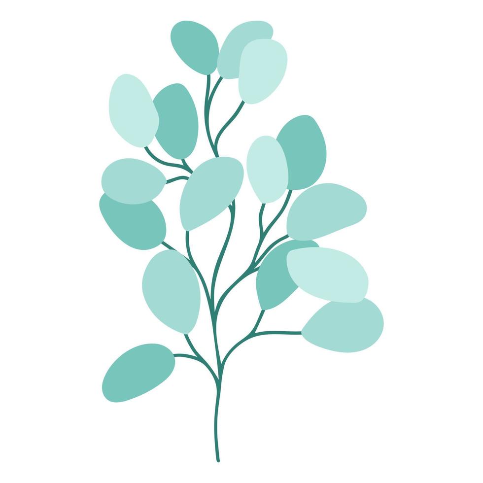 elemento botanico isolato disegnato ramoscello di eucalipto vettore