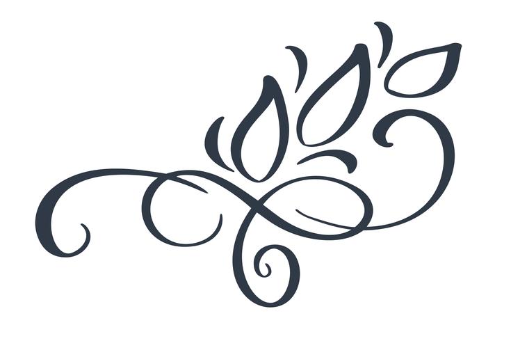 Separatore di flourish del bordo disegnato a mano Elementi del progettista di calligrafia. Illustrazione vettoriale vintage matrimonio isolato su sfondo bianco