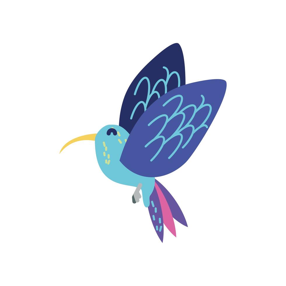 colibrì uccello animale vettore