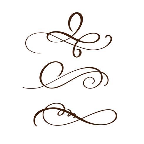 separatore di flourish disegnato a mano Elementi di calligrafia. Illustrazione vettoriale
