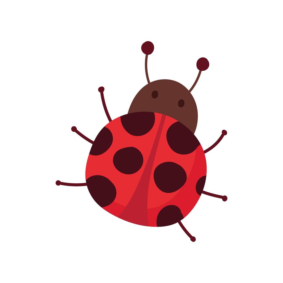 simpatico cartone animato coccinella vettore