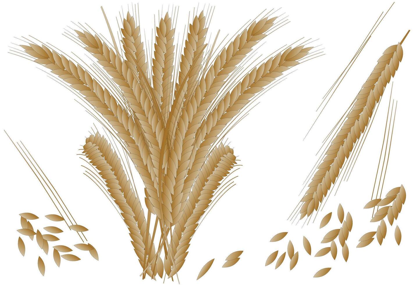 Grano pianta e grano vettore illustrazione