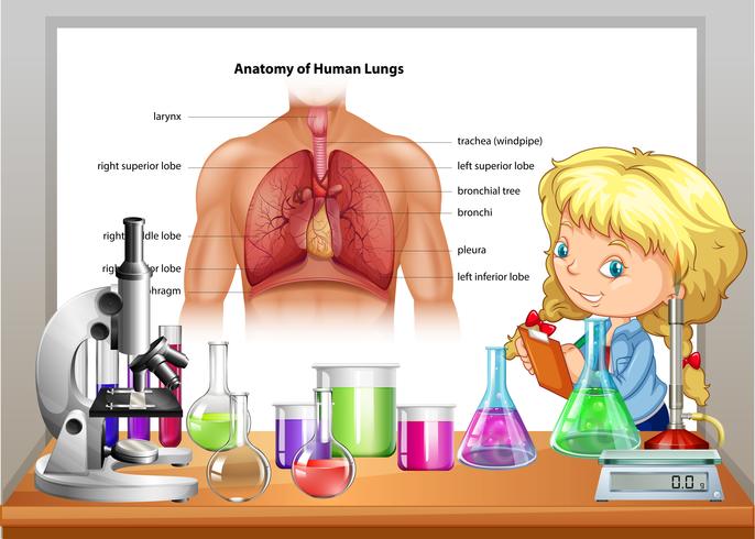 Ragazza che impara nella classe di scienze vettore