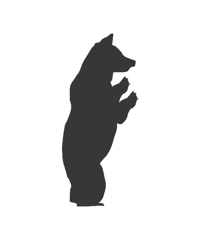 orso in piedi silhouette animale vettore