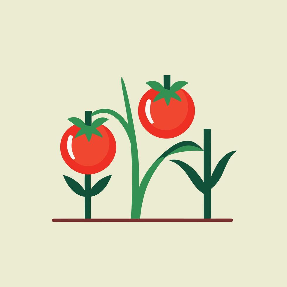 pomodoro cartone animato illustrazione vettore design