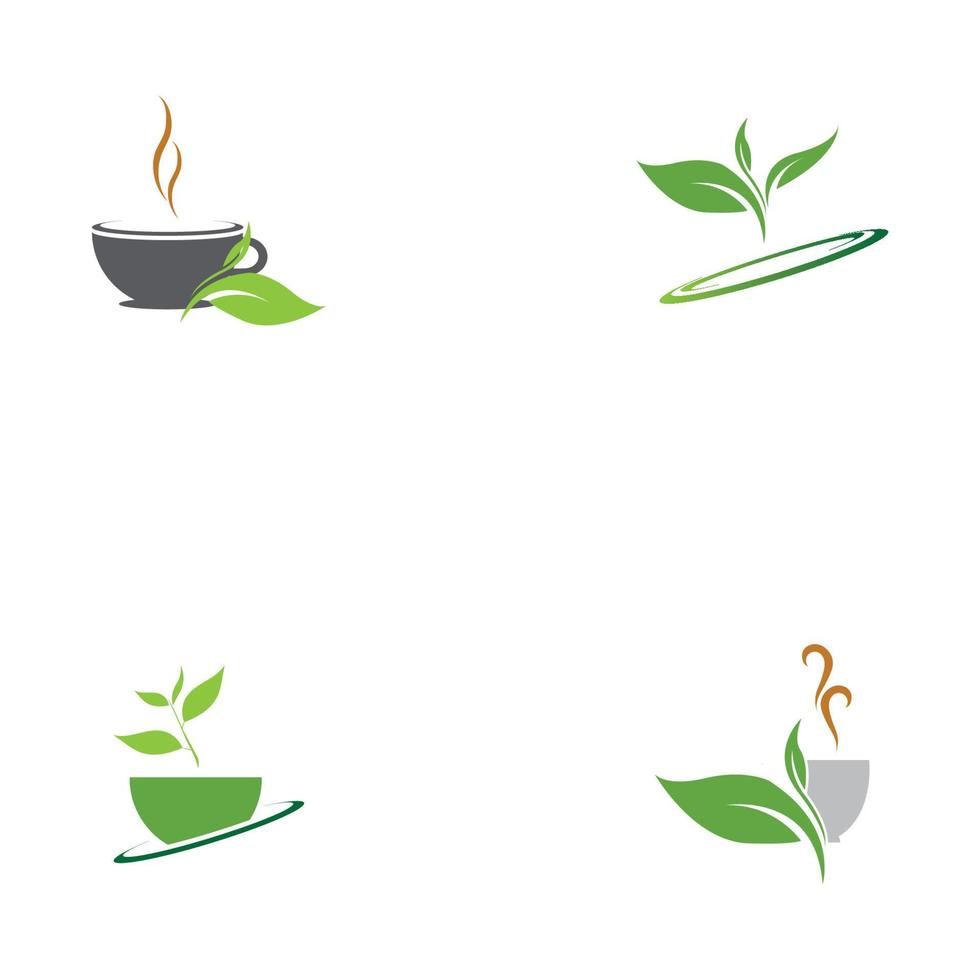 foglia germogli tè verde organico tazza foglia logo simbolo idea design vettore