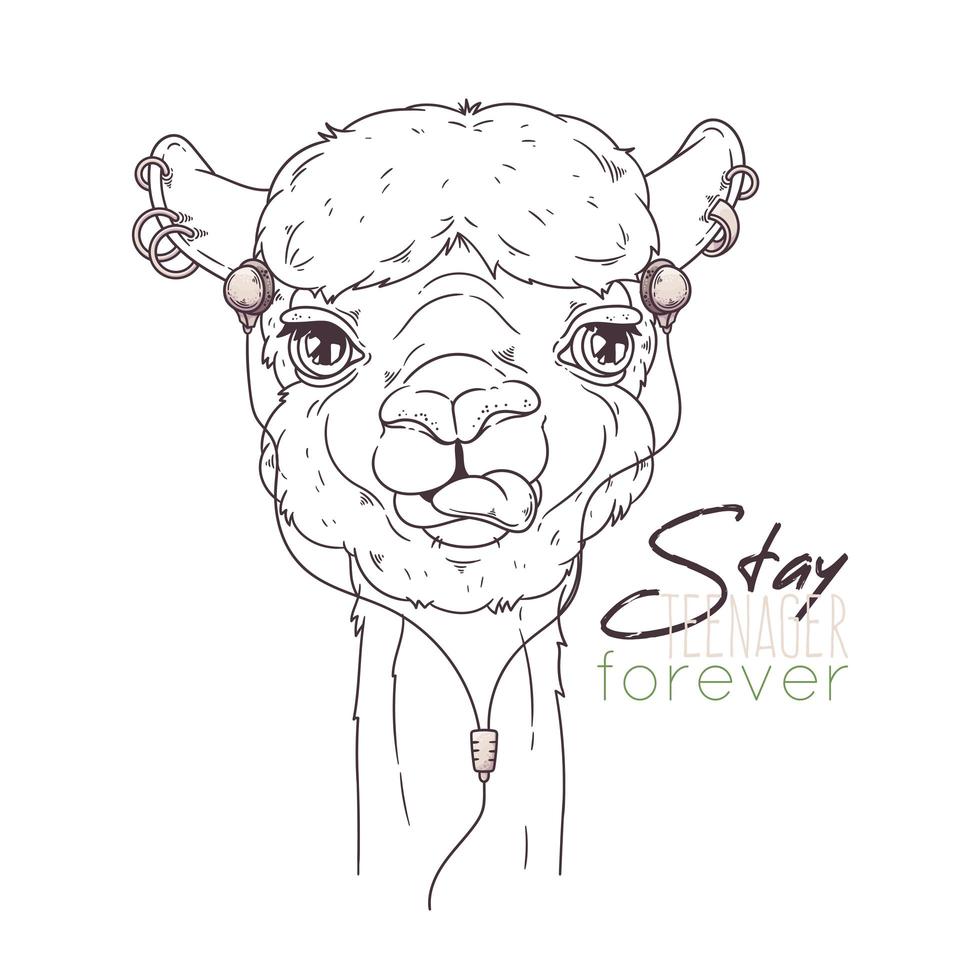 ritratto disegnato a mano del simpatico vettore di alpaca.