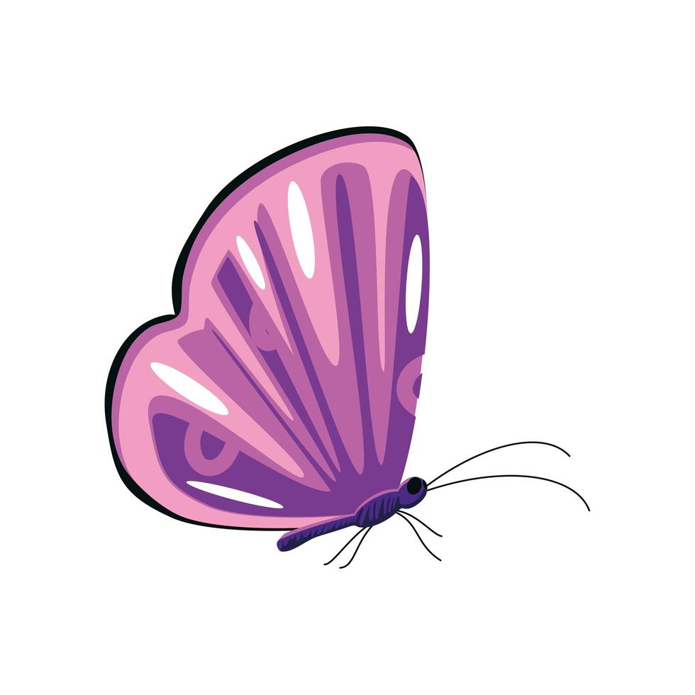 insetto farfalla viola vettore