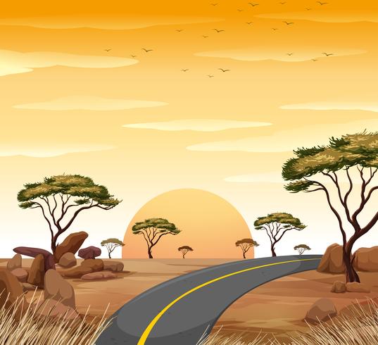 Scena della savanna con la strada vuota al tramonto vettore